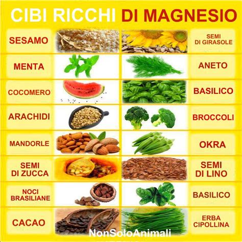 Cibi ricchi di potassio e magnesio
