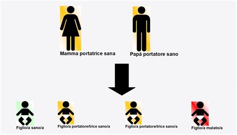 rappresentazione schematica dell'ereditarietà della talassemia tra portatori sani