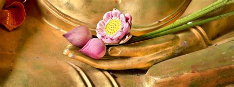 Simbolo del loto nel Buddhismo