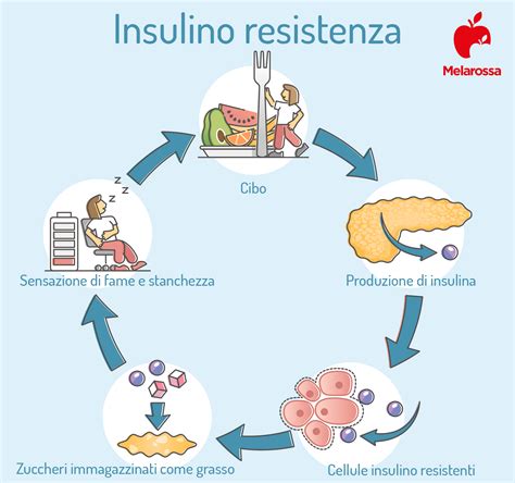 Schema del meccanismo di insulino-resistenza nel diabete gestazionale