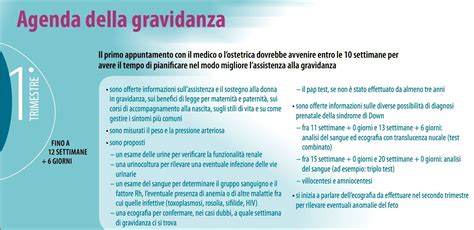 Agenda della Gravidanza