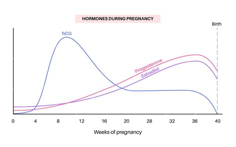 Grafico livelli hCG