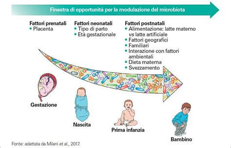 confronto tra microbiota di neonato nato da parto vaginale e da cesareo