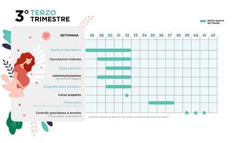 infografica sui controlli medici raccomandati trimestre per trimestre