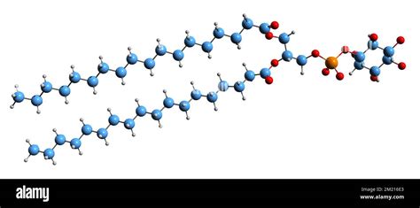 Struttura molecolare della Beta hCG