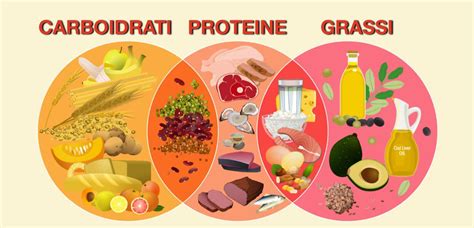 Schema dei nutrienti essenziali per la mamma che allatta: proteine, fibre e idratazione
