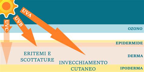 Infografica sui tipi di raggi UV (UVA, UVB, UVC) e i loro effetti sulla pelle