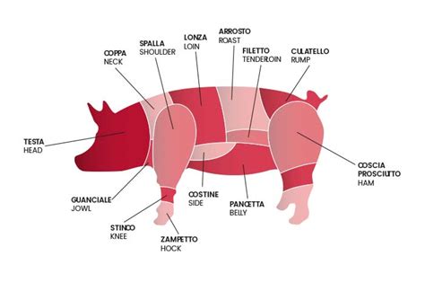 Tavola nutrizionale dei tagli magri di carne di maiale