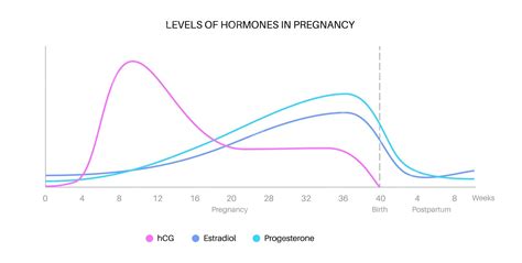 Comparison of LH and hCG hormones