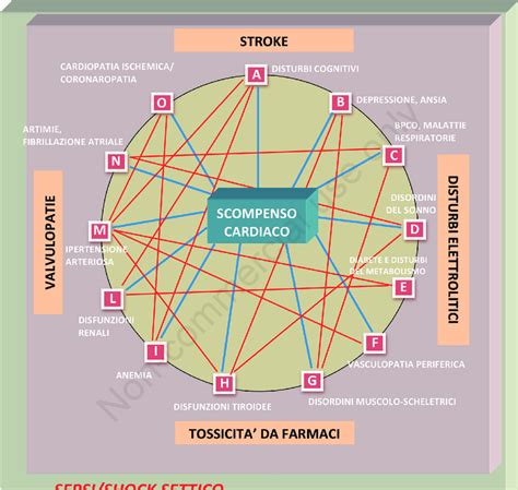 Schema grafico che illustra i vari percorsi diagnostici e chirurgici offerti dal reparto