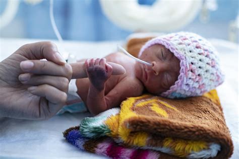 Bambino prematuro che guarda il cibo