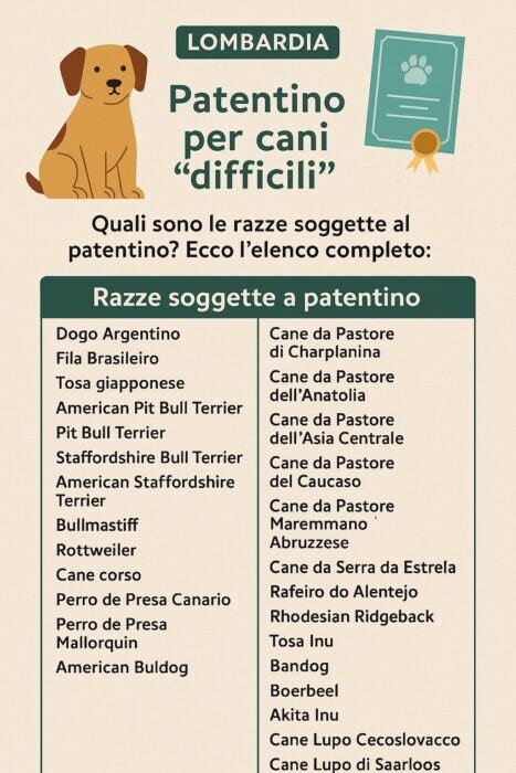 Icona di un patentino per cani o un guinzaglio e museruola