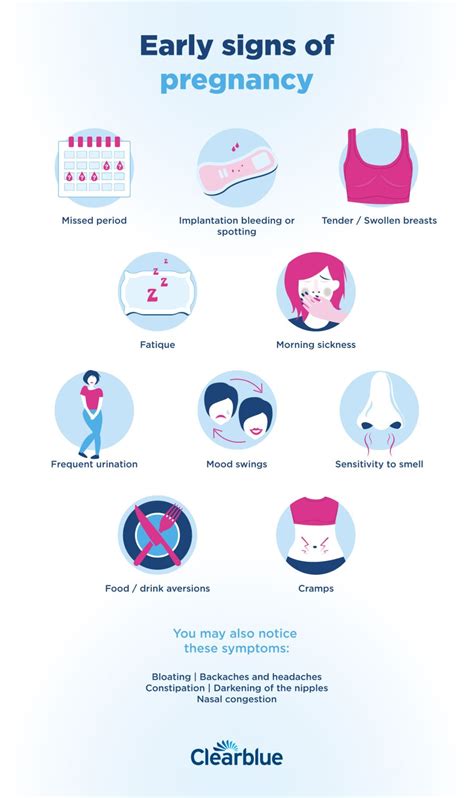 Infographic showing a timeline of common early pregnancy symptoms (e.g., implantation bleeding, fatigue, breast tenderness)