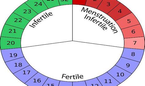 Probabilità di concepimento per ciclo nella donna