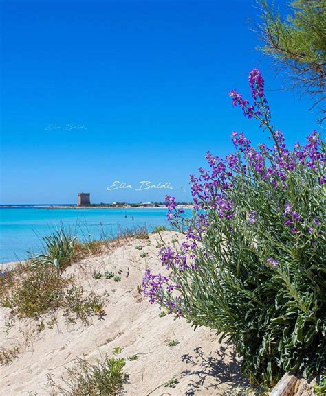 Vista panoramica degli isolotti di Porto Cesareo con il mare azzurro
