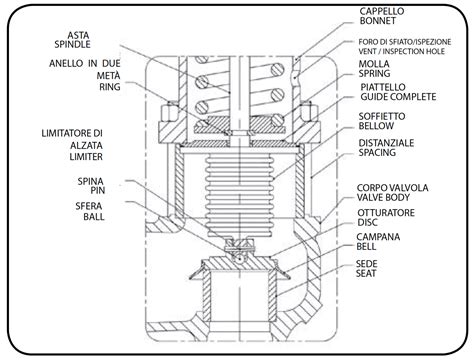 Schema della valvola anticolica in una tettarella