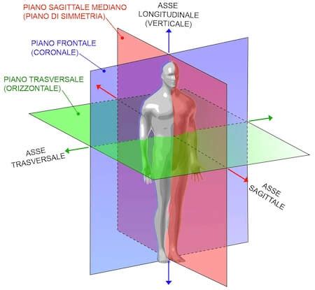 Confronto tra incisione uterina trasversale e verticale