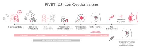 Schema del processo di FIVET