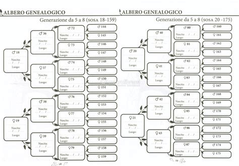 Infografica che collega l'albero genealogico alle generazioni, dalle radici alle foglie