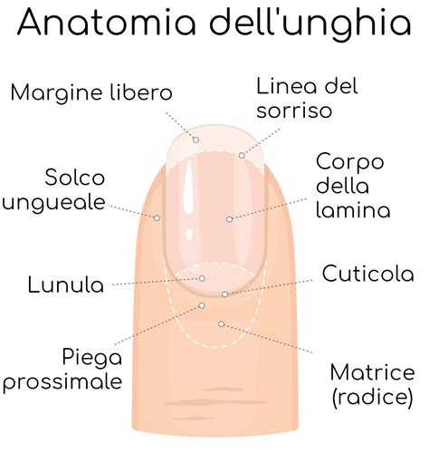 Saturimetro sul dito con unghia naturale