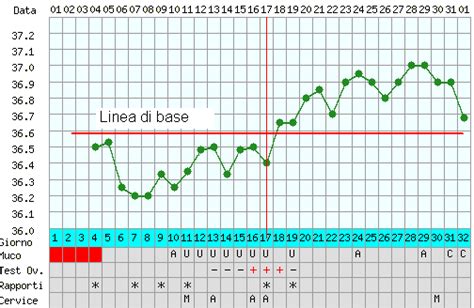 Grafico della temperatura basale e del muco cervicale durante il ciclo ovulatorio