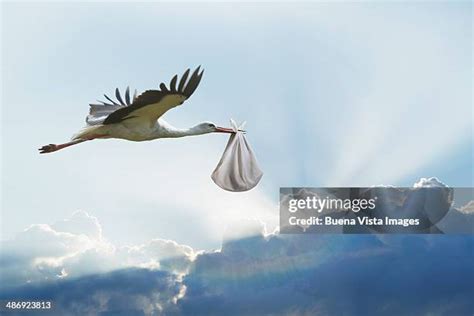 Stork flying with a baby in a bundle