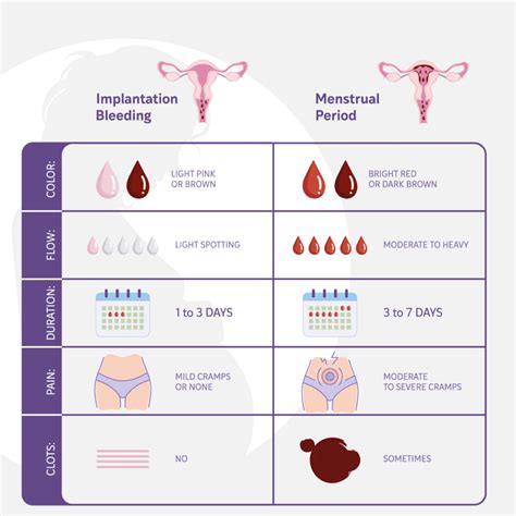 Implantation bleeding diagram