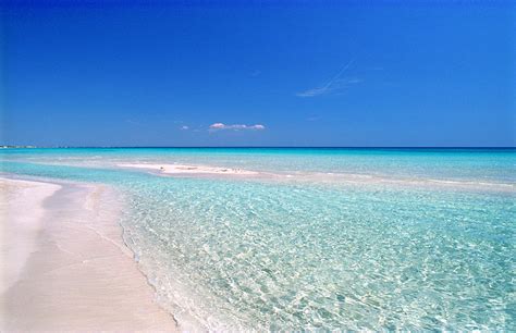 Spiaggia di Punta Prosciutto con acqua cristallina