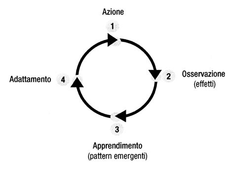 Schema d'azione Papaverina e Belladonna