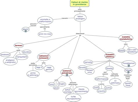 mappa concettuale dei fattori di rischio clinico durante la gravidanza