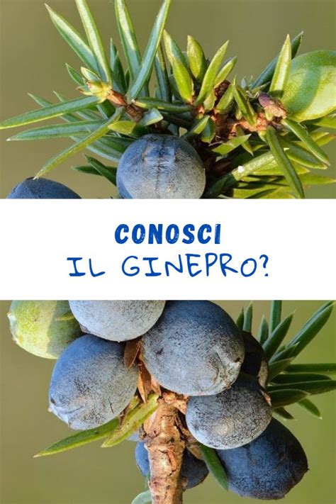 Scene di produzione per nascondere gravidanza