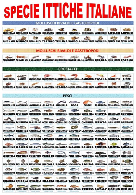 infografica specie ittiche consigliate e sconsigliate in gravidanza