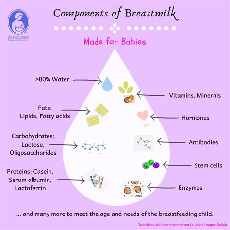 Microscopical view of breast milk components