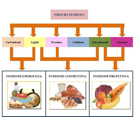 Infografica sui principi fondamentali dell'alimentazione in gravidanza