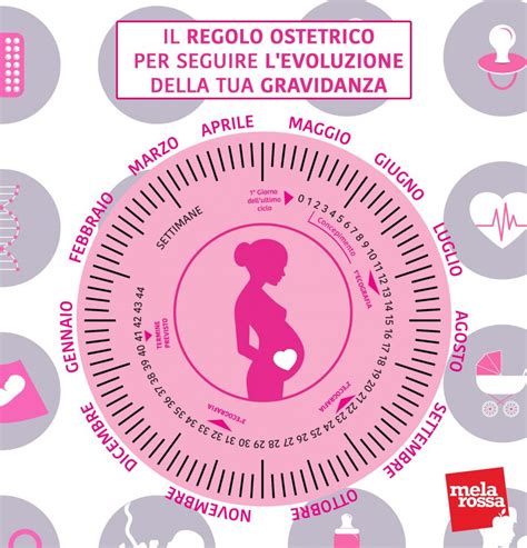 Calendario della gravidanza
