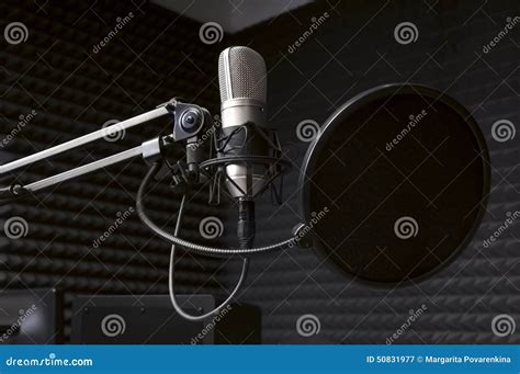 Microfono professionale radiofonico in studio