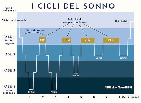 Grafico dei cambiamenti del sonno trimestre per trimestre