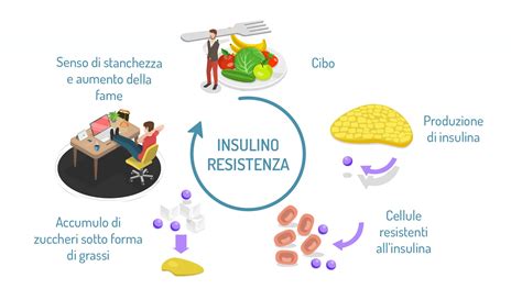 Diagramma che illustra il circolo vizioso tra insulino-resistenza, alti livelli di insulina e aumentata produzione di androgeni nelle donne con PCOS.