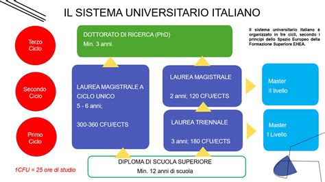 Struttura del sistema universitario italiano