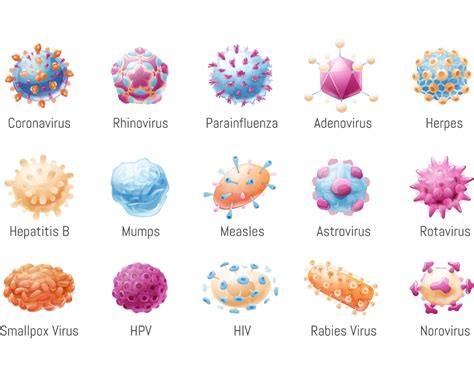 Tipi di virus HPV e malattie associate
