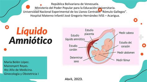 Diagramma che illustra le funzioni del liquido amniotico