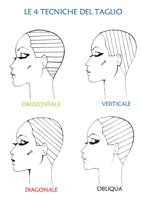 diagramma che mostra le sezioni del taglio capelli