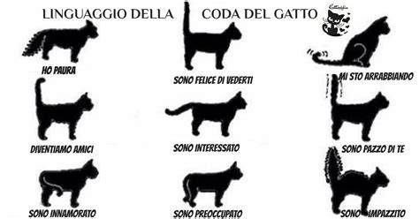 rappresentazione onirica e simbolica di un gatto vicino a una figura umana