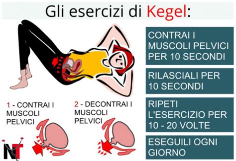 Schema degli esercizi di Kegel