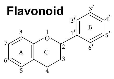 Struttura chimica di un flavonoide