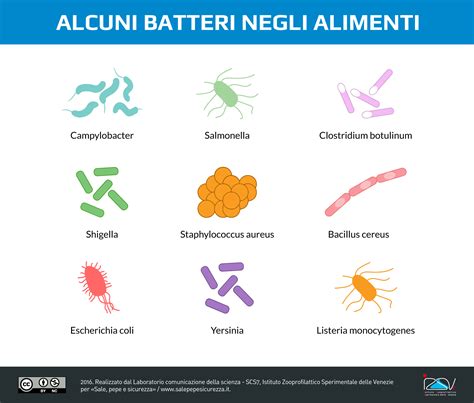 Batteri patogeni e rischi alimentari