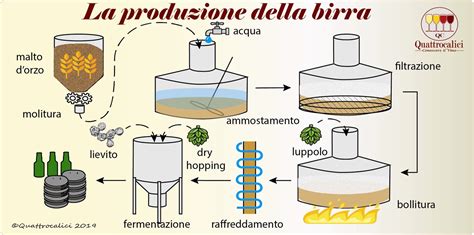 Schema semplificato del processo di fermentazione della birra