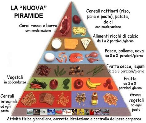 illustrazione concettuale di un'alimentazione bilanciata per la gravidanza