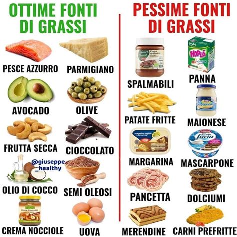 infografica sulle fonti di proteine e grassi sani consigliati