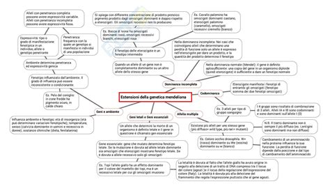 Schema di ereditarietà genetica